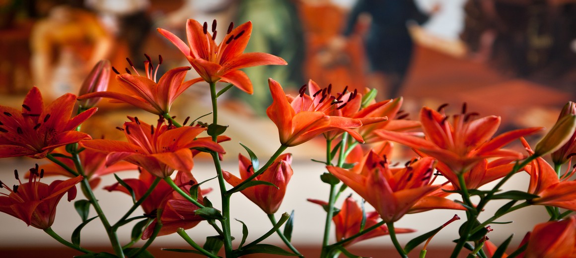 Гатэль Лодзь камфартабельныя нумары канферэнцыі паб рэстаран адпачынак у Польшчы